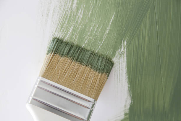 Best Real Estate Mold Inspection  in Angleton, TX