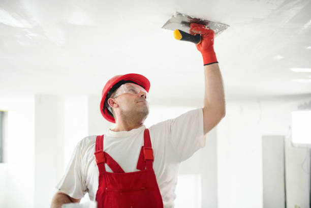 Best Emergency Mold Remediation  in Angleton, TX