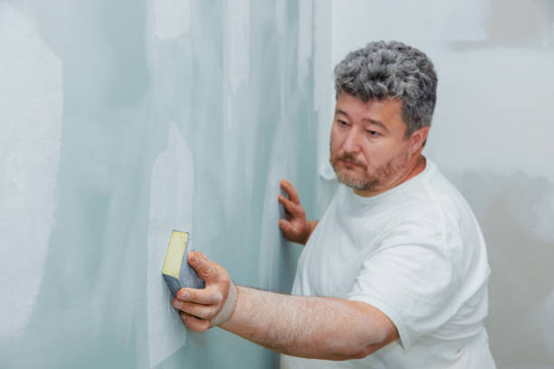 Best Environmental Consulting for Mold Prevention  in Angleton, TX