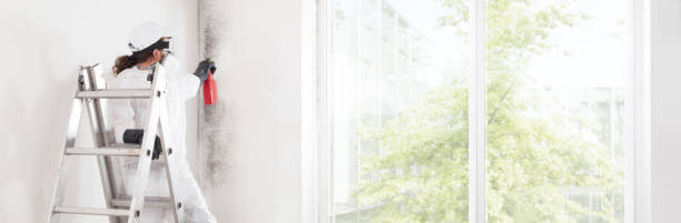 Best Forensic Mold Investigation  in Angleton, TX