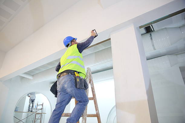 Best Comprehensive Air Testing for Mold Contaminants  in Angleton, TX