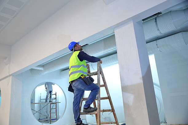 Best Biohazard Mold Removal  in Angleton, TX