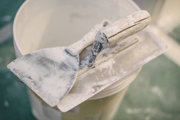 Best Mold Remediation for Healthcare Facilities  in Angleton, TX